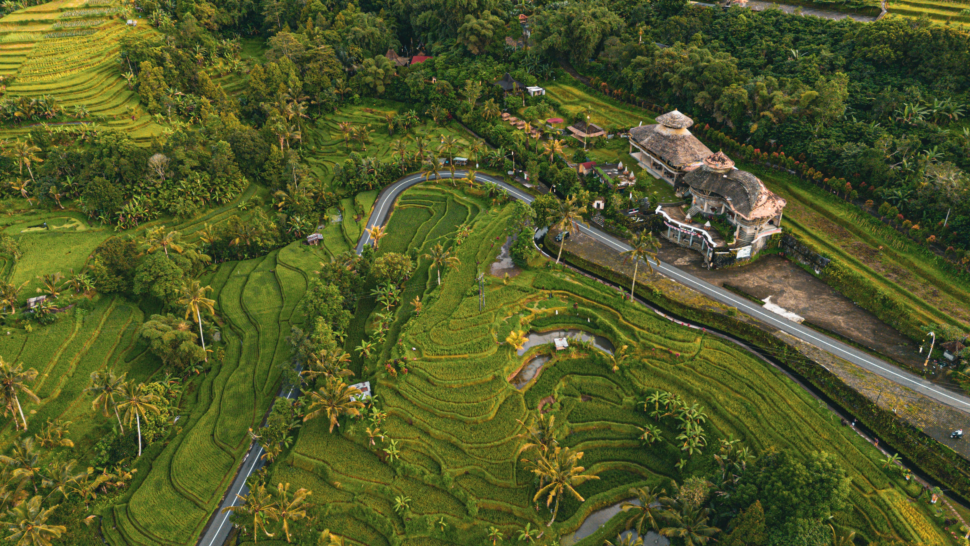 Aerial Rice Terraces